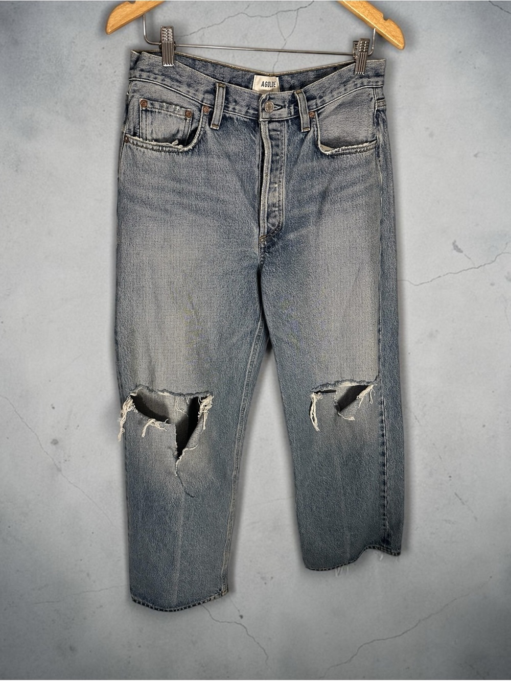 NWOT Agolde Low Slung Baggy jeans 27